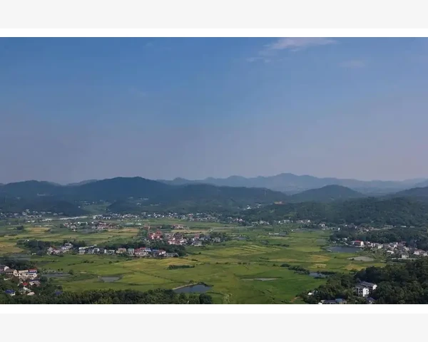 自制痰止咳贴粉：舒缓咳嗽，祛除痰液，传统中医护理的智慧